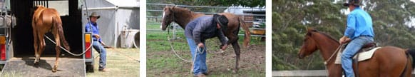 Ian Leighton Horsemanship 2