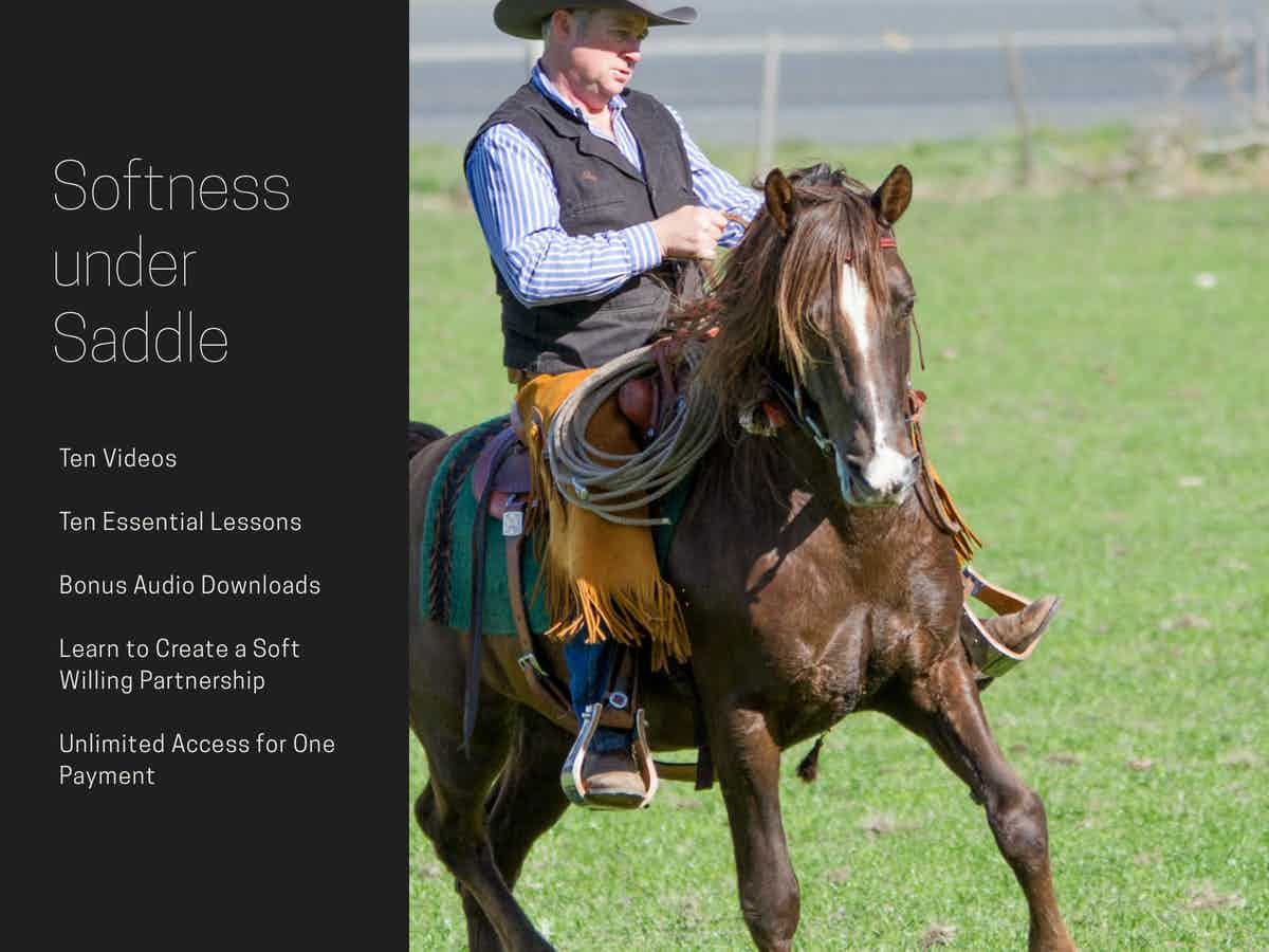 Softness Under Saddle